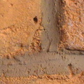 Close 2.jpg